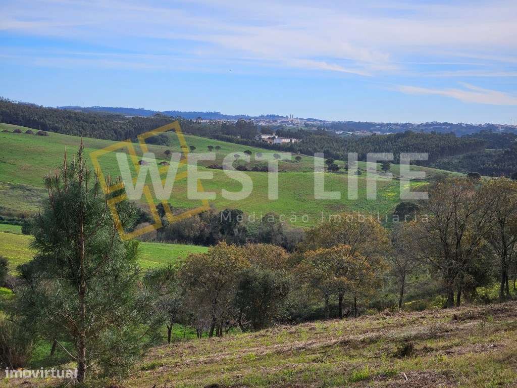 Terreno RÚSTICO Urbanizável 7874m2 em Bracial - Ericeira - Grande imagem: 4/20