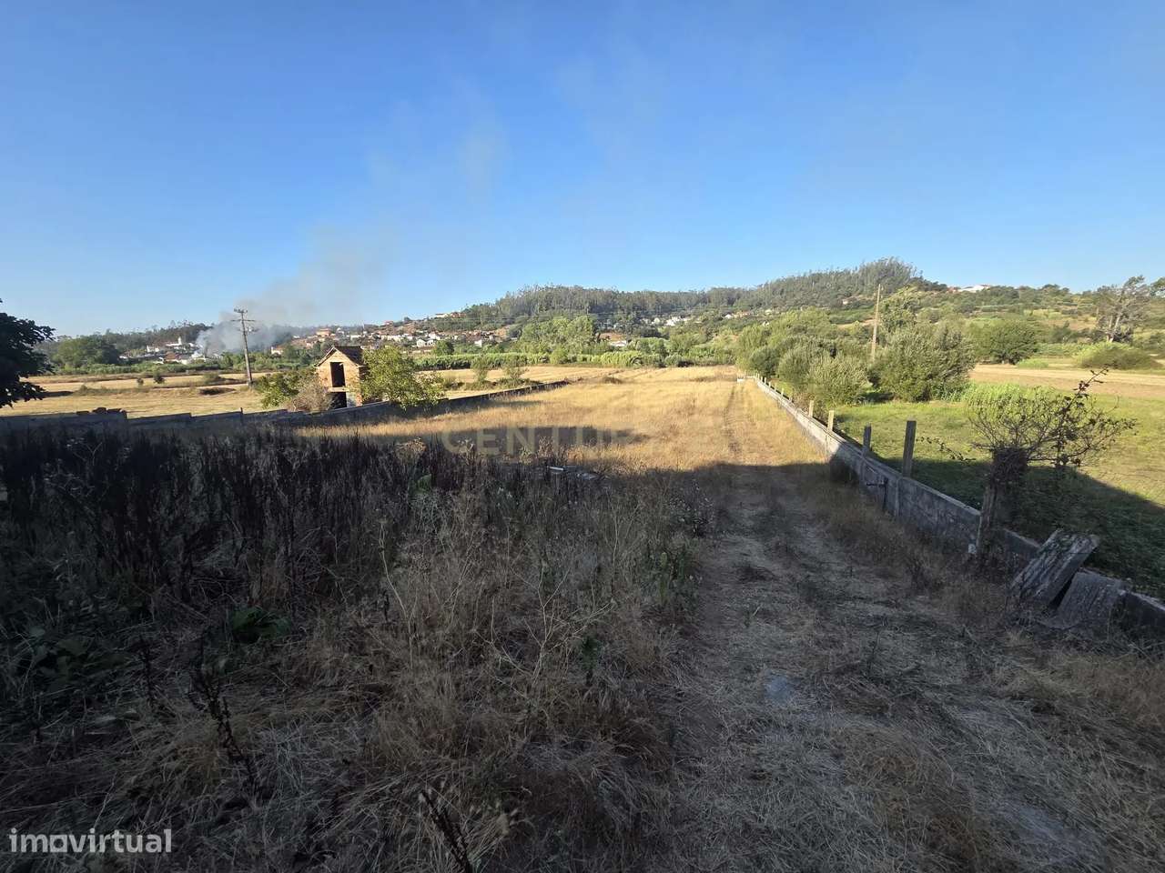 Casa Antiga || Quintinha com 7000 m2 || Vermoil, Pombal-7