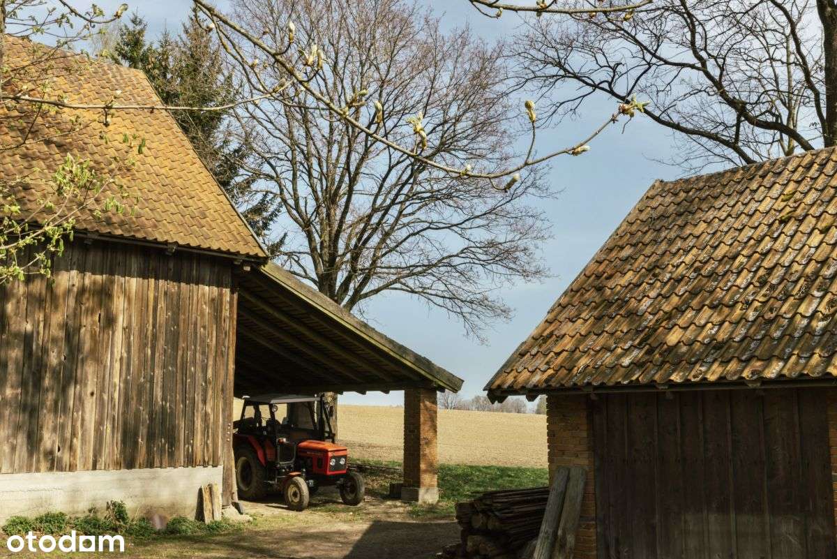 Atrakcyjna działka rolna z zabudowaniami - Pełny obrazek: 4/20