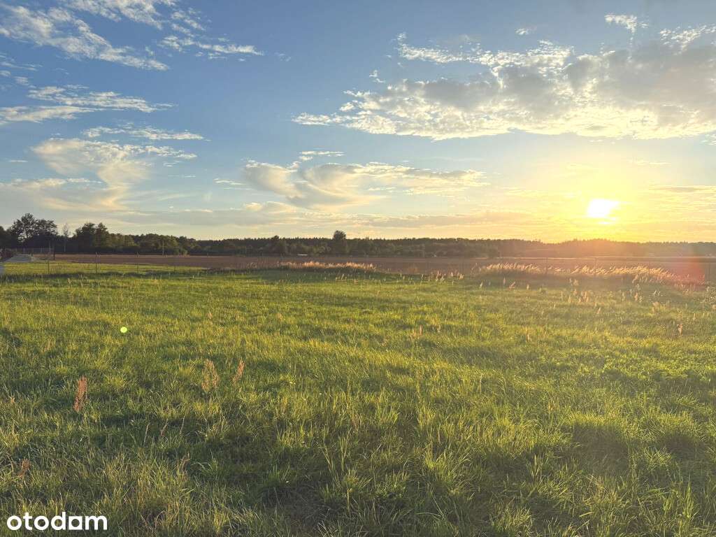 sprzedaż działka budowlana 1733 m2. Łubniany - Pełny obrazek: 5/16