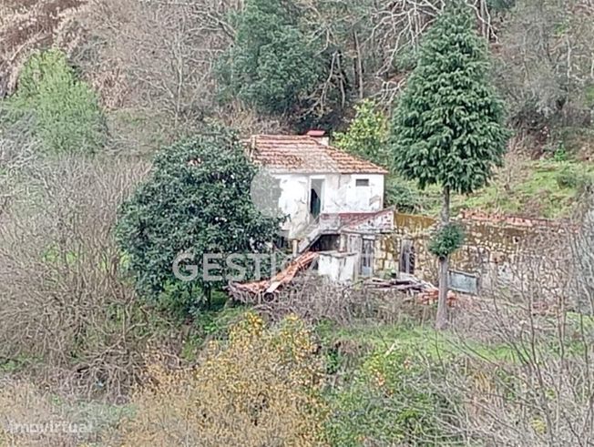 Oportunidade Única: Quinta para Habitação, Turismo ou Agricultura em M-20