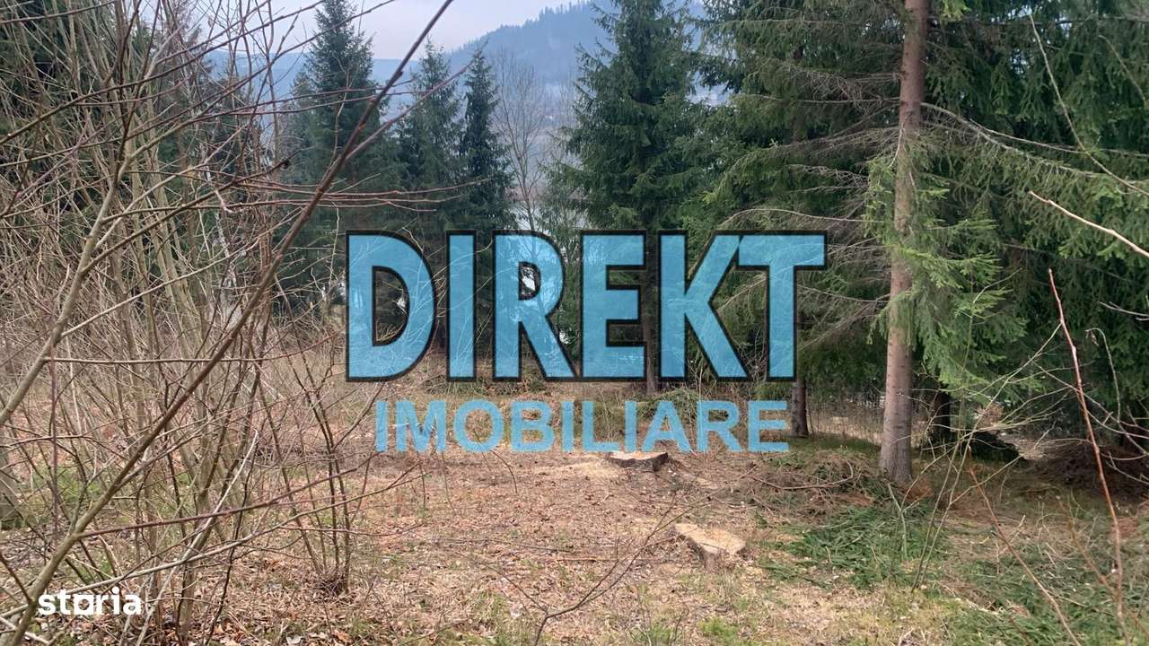 Teren intravilan Colibița - Imagine principală: 2/7
