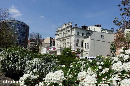 TANIO ! Centrum Poznań 2  niezależne pokoje,  oddzielna kuchnia-12