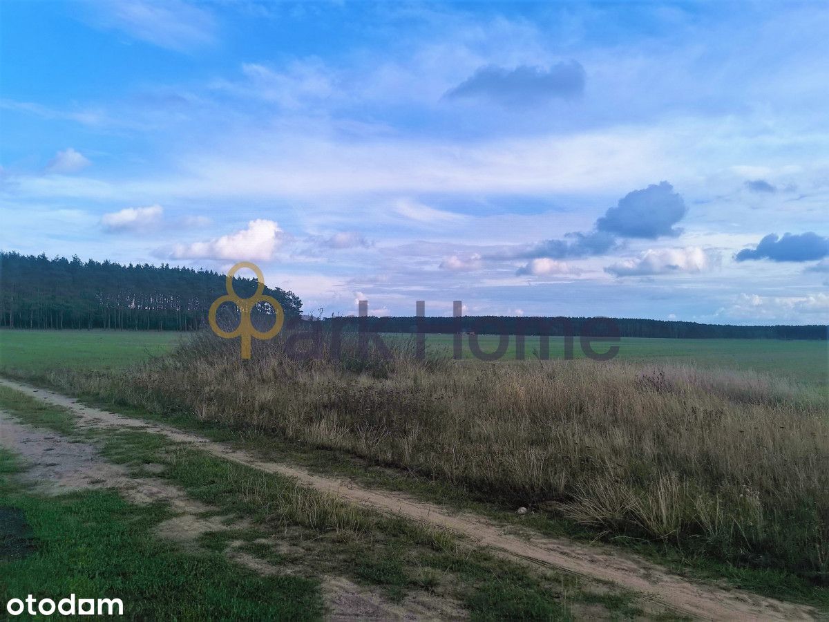 Działka blisko lasu, inwestycyjna pod budowę domów