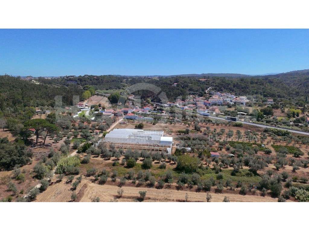 Terreno Agrícola com Estufas Preparadas para Produção em Hidroponia...-11
