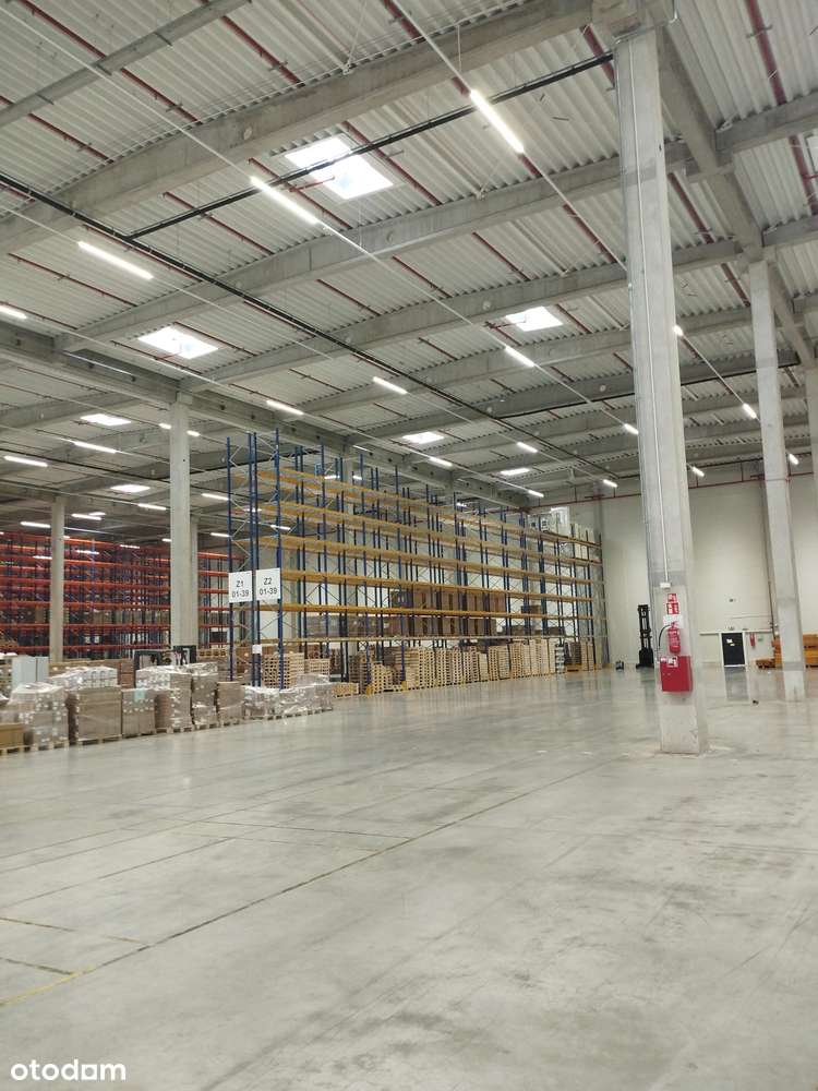 Powierzchnia magazynowa na podnajem - Lędziny | 5 500 mkw. - Pełny obrazek: 4/4