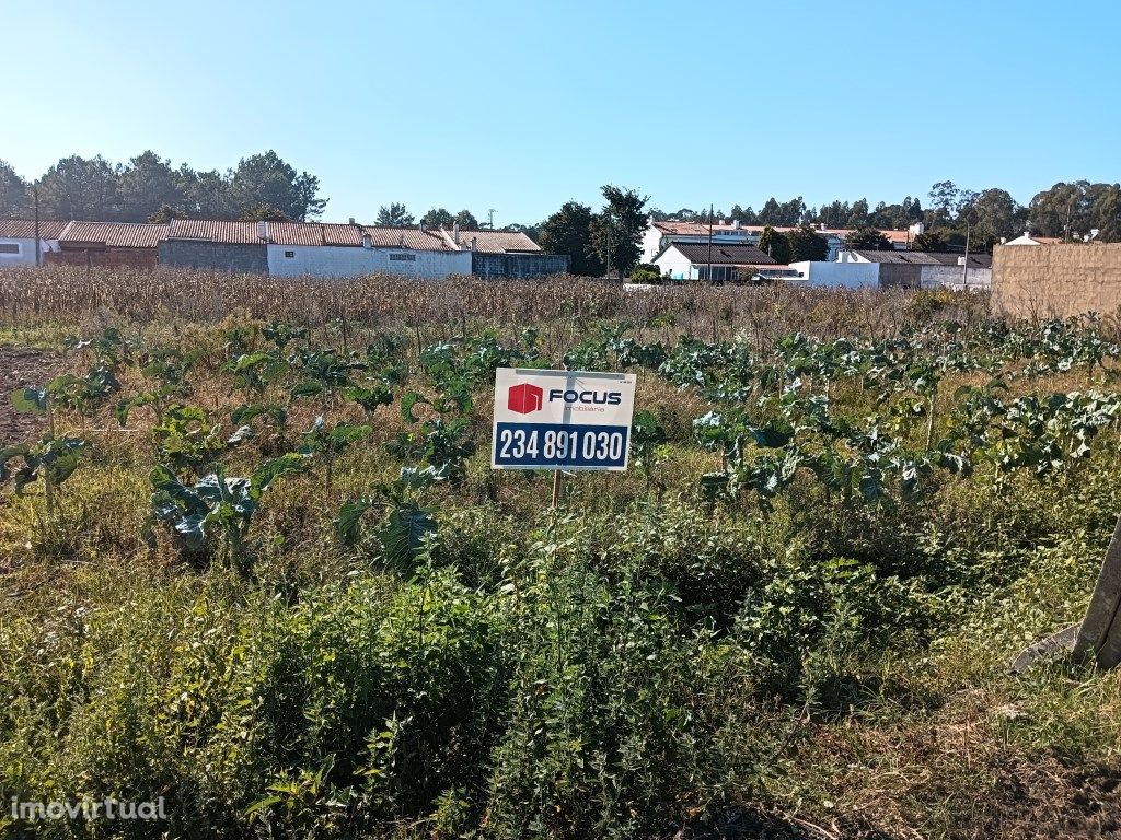 Terreno para moradia Isolada - Estarreja