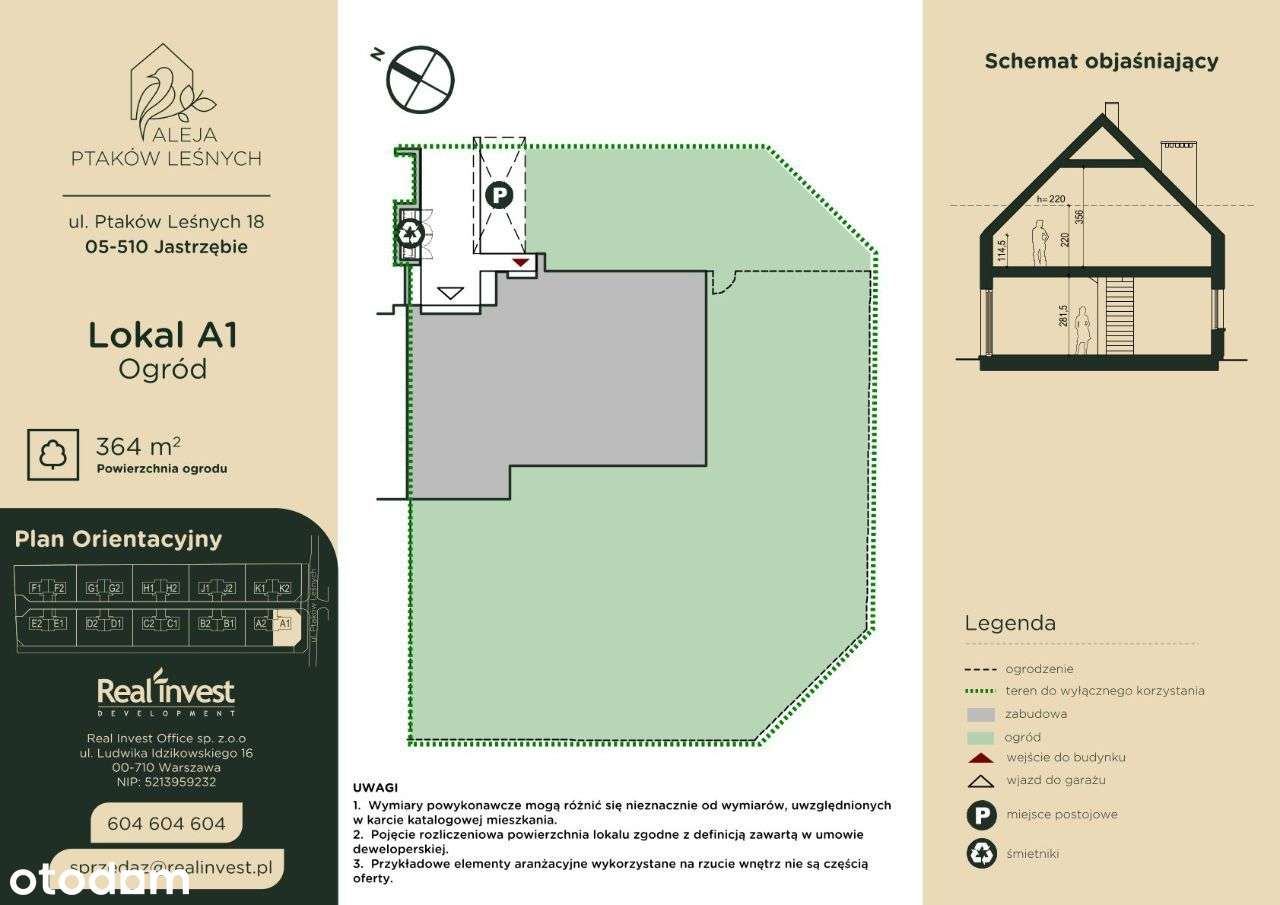 Aleja Ptaków Leśnych - Pełny obrazek: 4/8