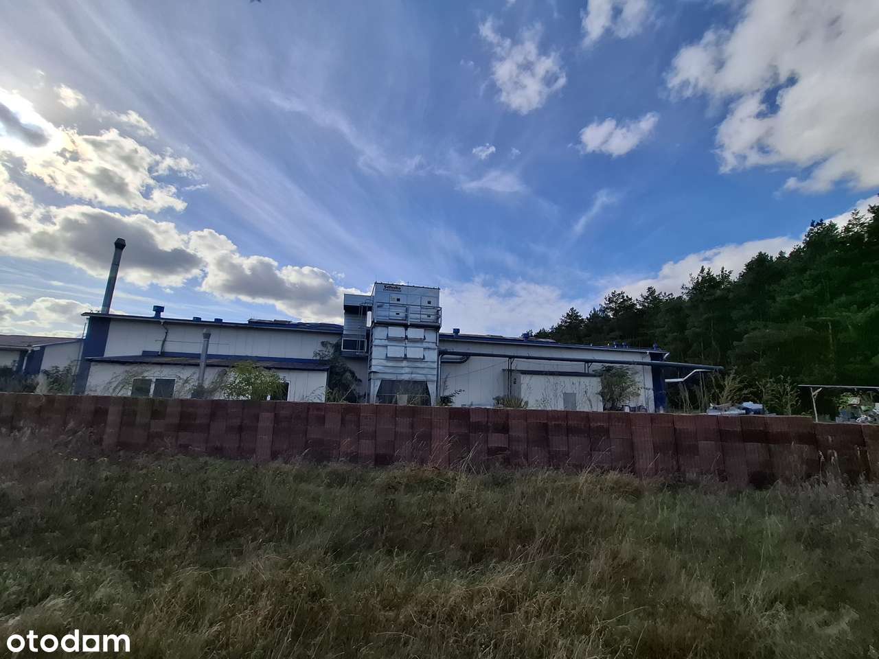 hale produkcyjne i magazyny w Dzierżowie obok Gorzowa Wielkopolskiego-8