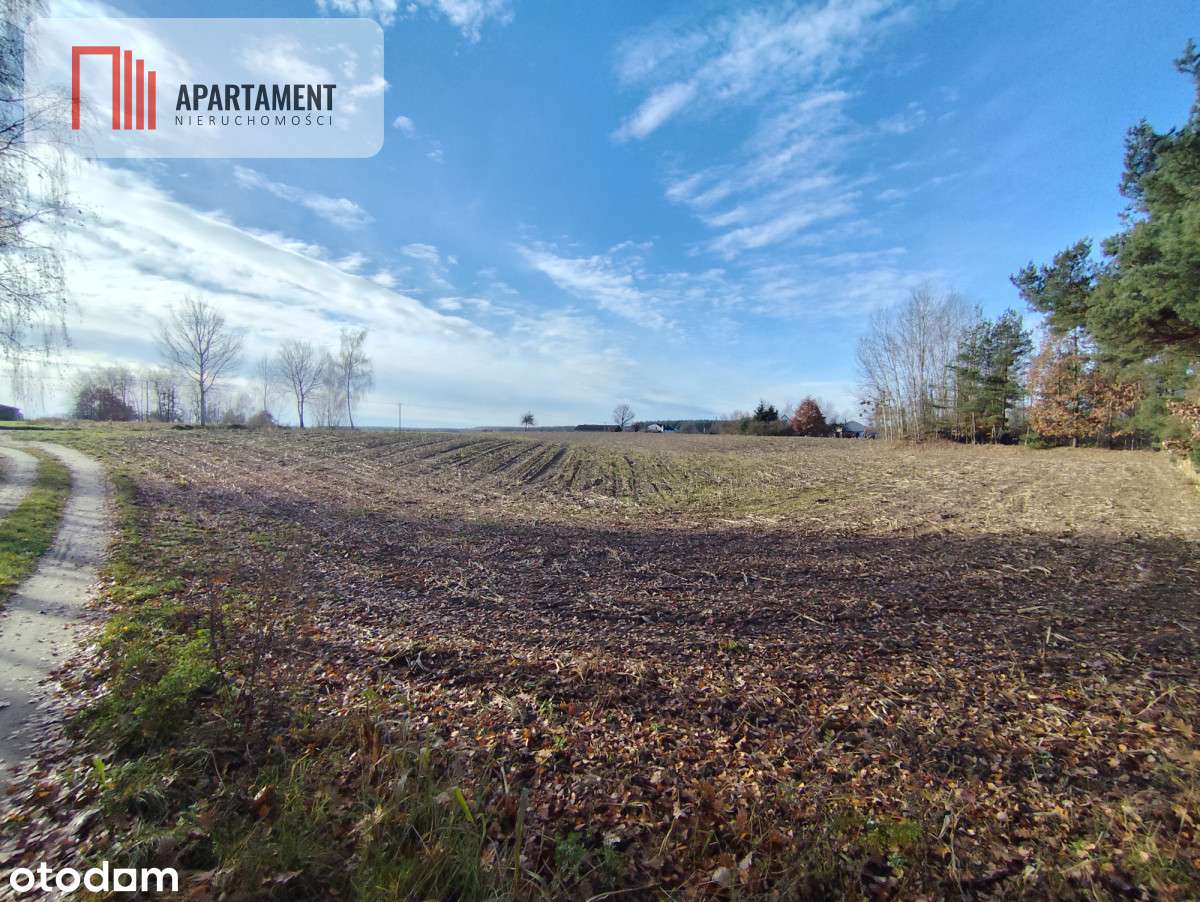 Działka z dużym potencjałem! Blisko natury! - Pełny obrazek: 5/9