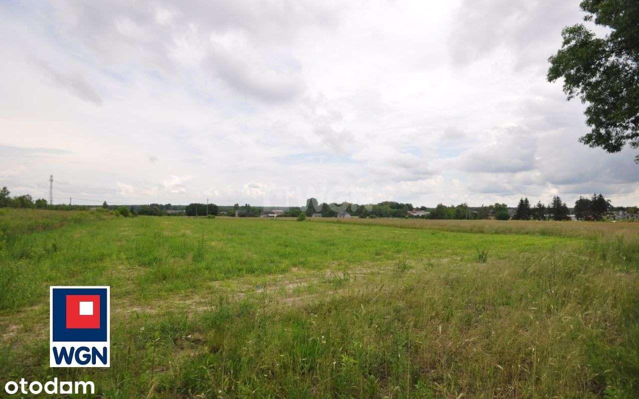 Działka, 2 993 m², Kodrąb-15