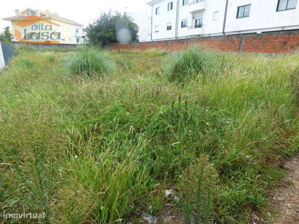 Oportunidade para Construir a Sua Casa dos Sonhos em Avintes, Vila ... - Grande imagem: 5/12