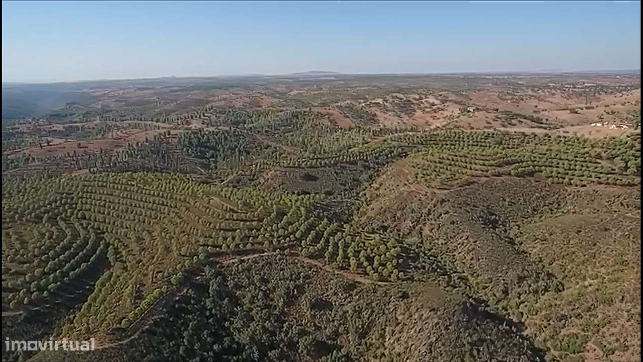 Herdade com área total de 135 hectares a confinar 3km com o Rio Guadia - Grande imagem: 5/8