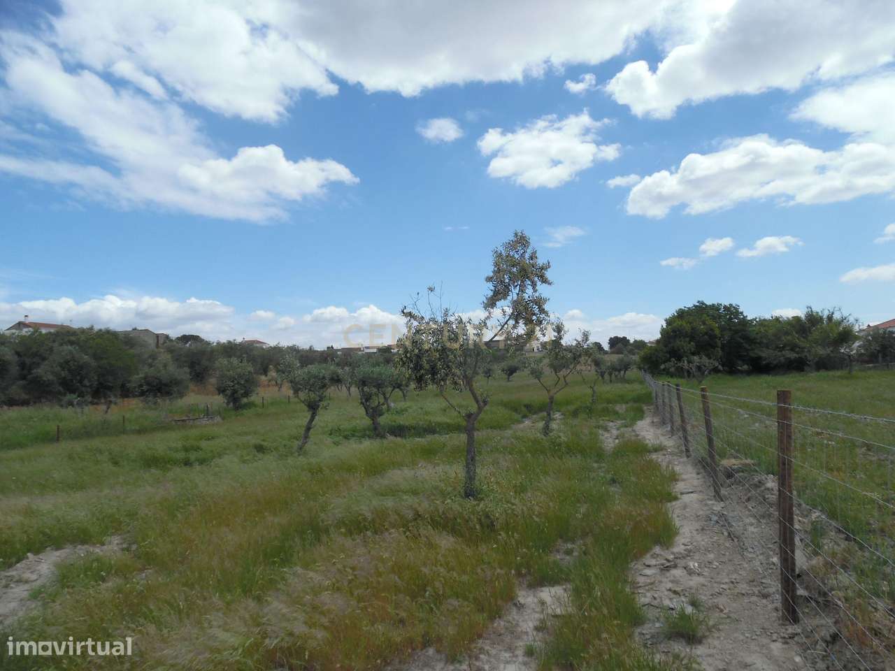 Quinta em Capelins,  Alandroal - Évora,  Oportunidade Única-52