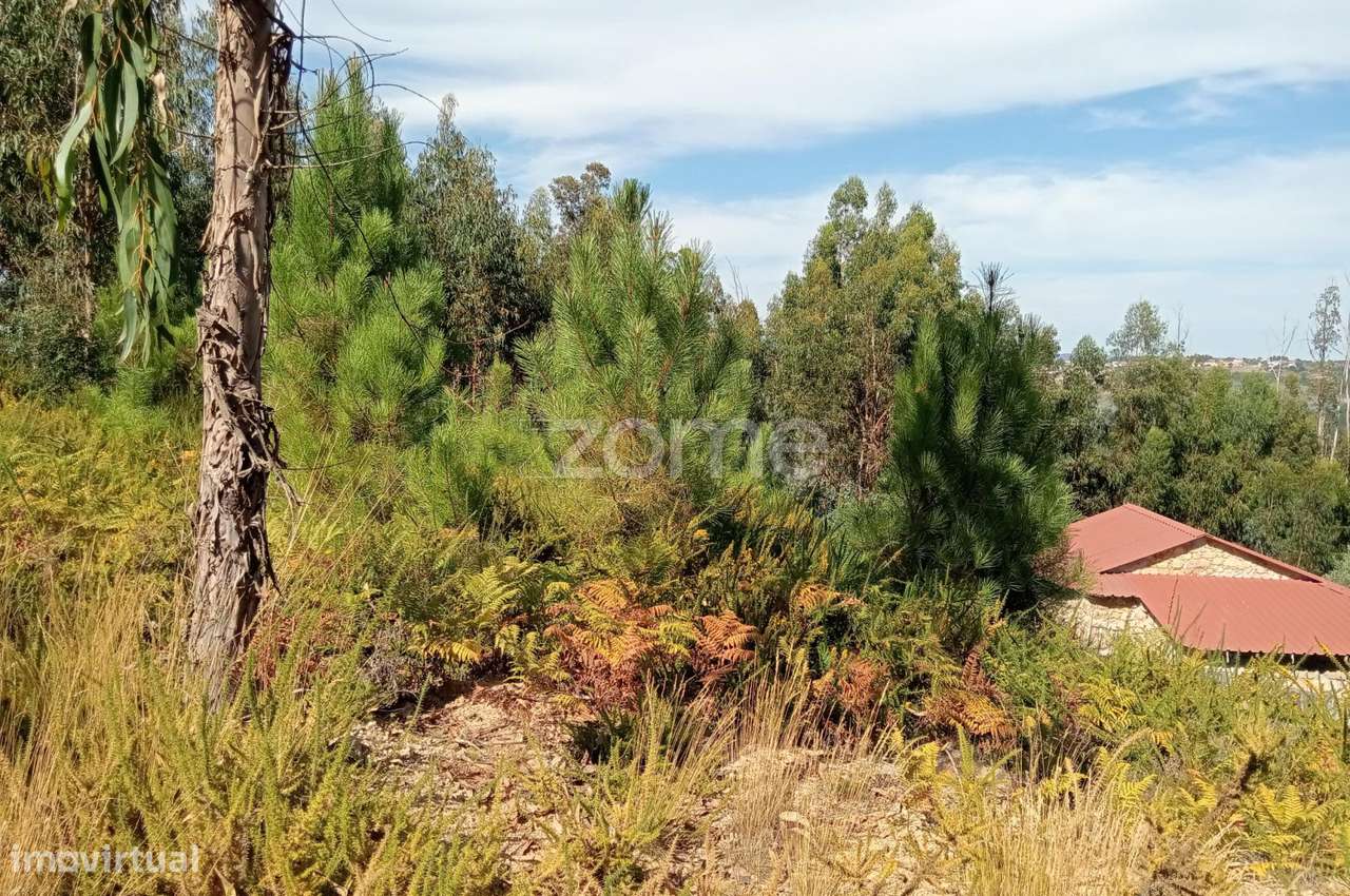 Terreno em Tonda com 2250 m2 - Grande imagem: 5/15