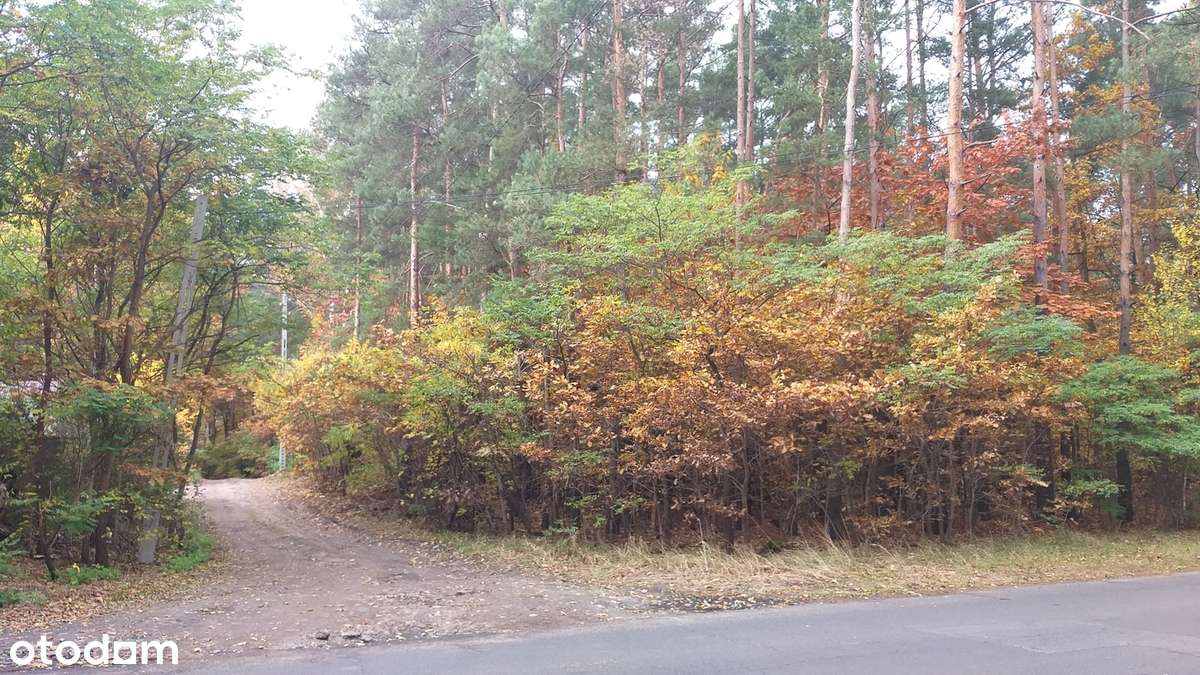 Dz. budowlana: Wawer / Radość. Jest MPZP, zab.jednorodzinna. 0% prow.-4