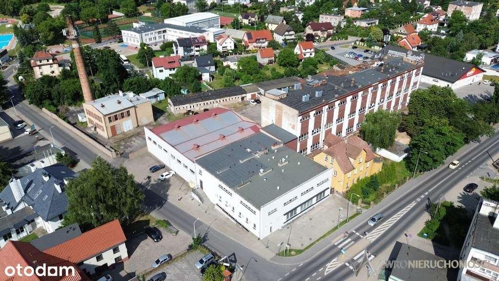 Lokal | 1200 m2 | Pod produkcję/Magazyn - Pełny obrazek: 2/7