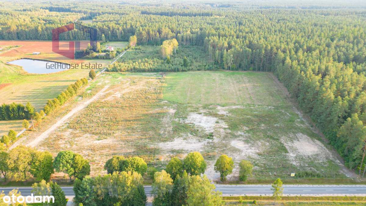 Działki ze ścianą lasu Natury 2000, super dojazd - Pełny obrazek: 4/6