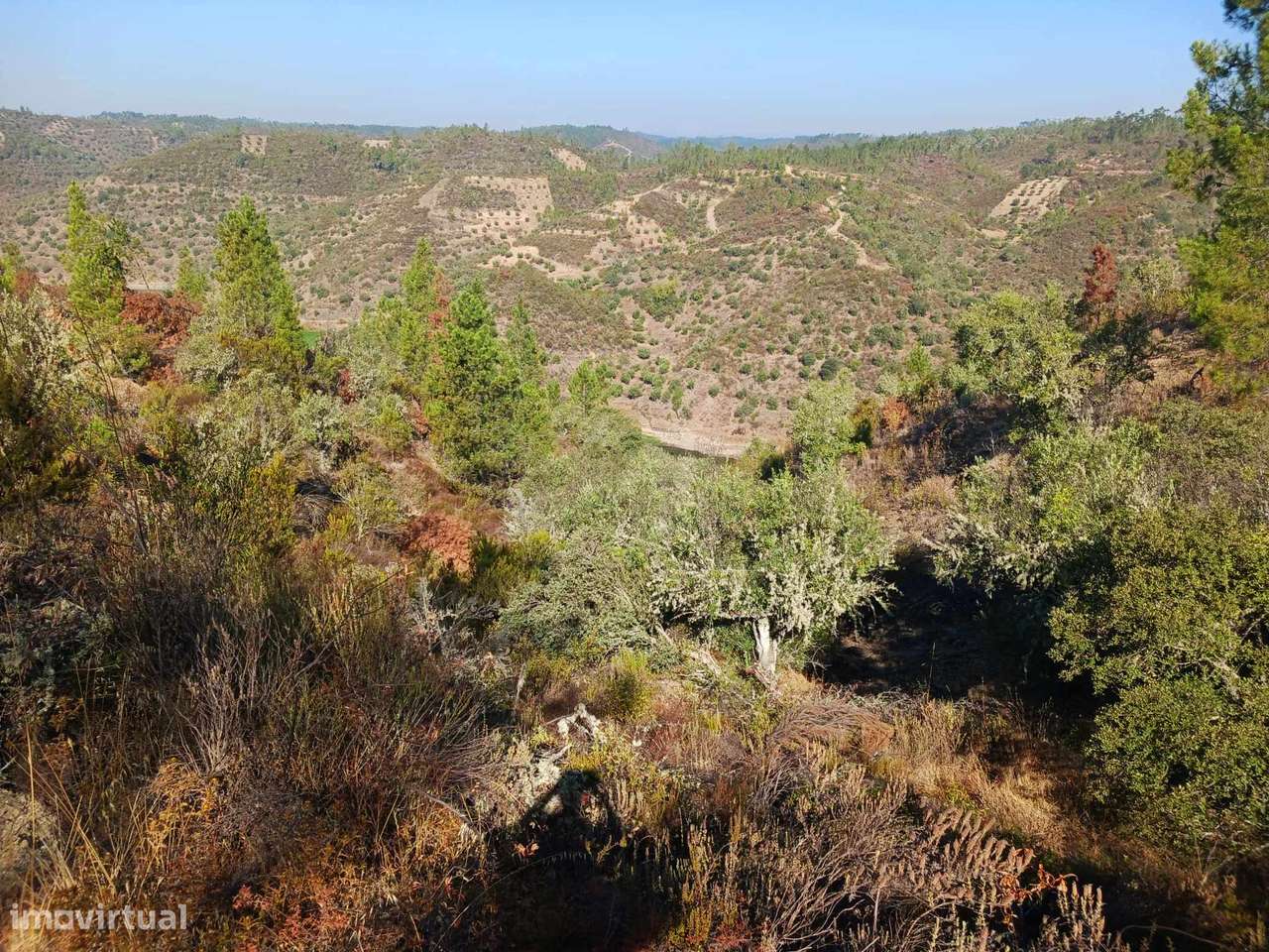 Terreno-9