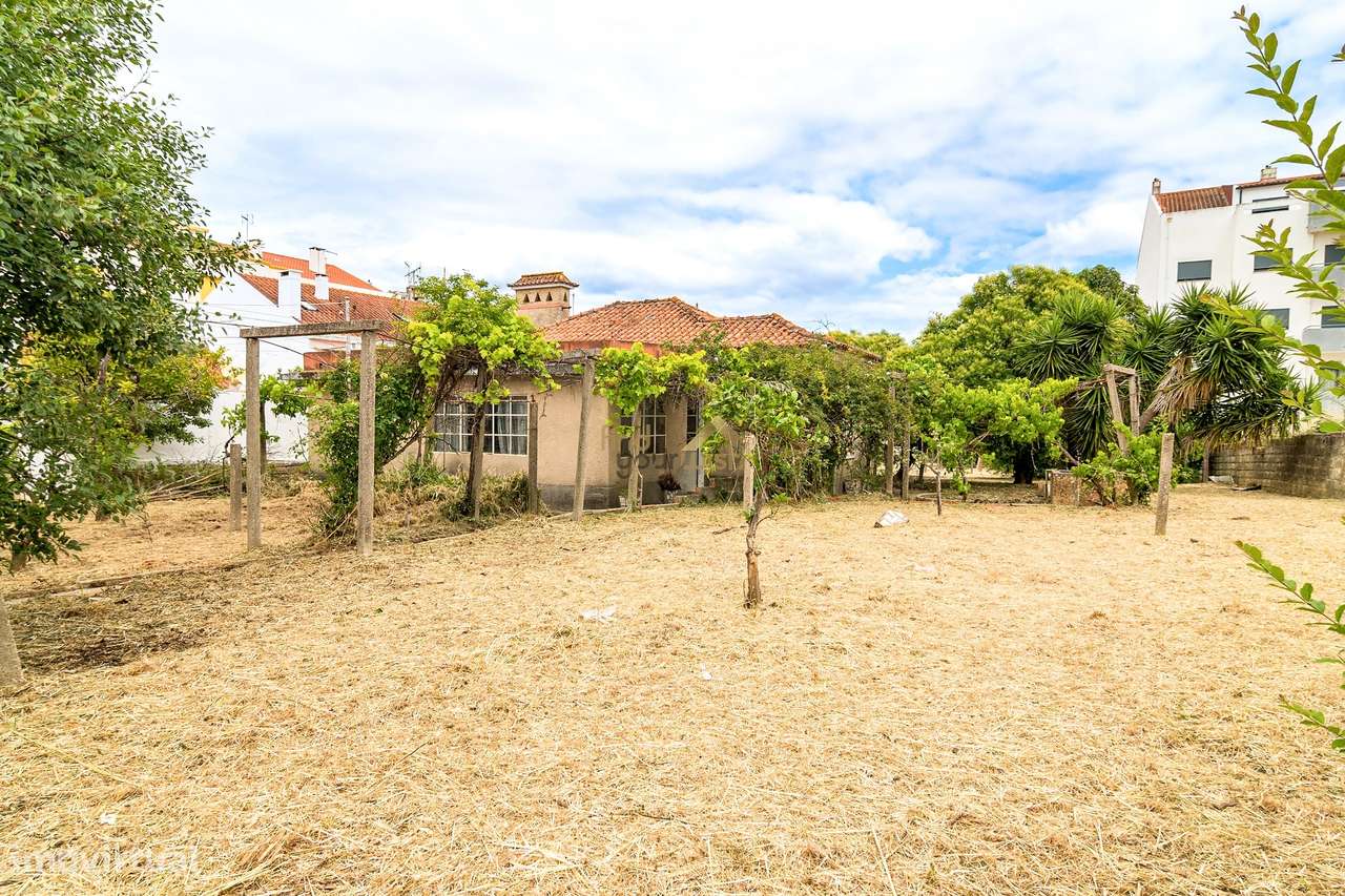 Moradia T3 com Terreno de 2.270m² no Centro do Entroncamento-30