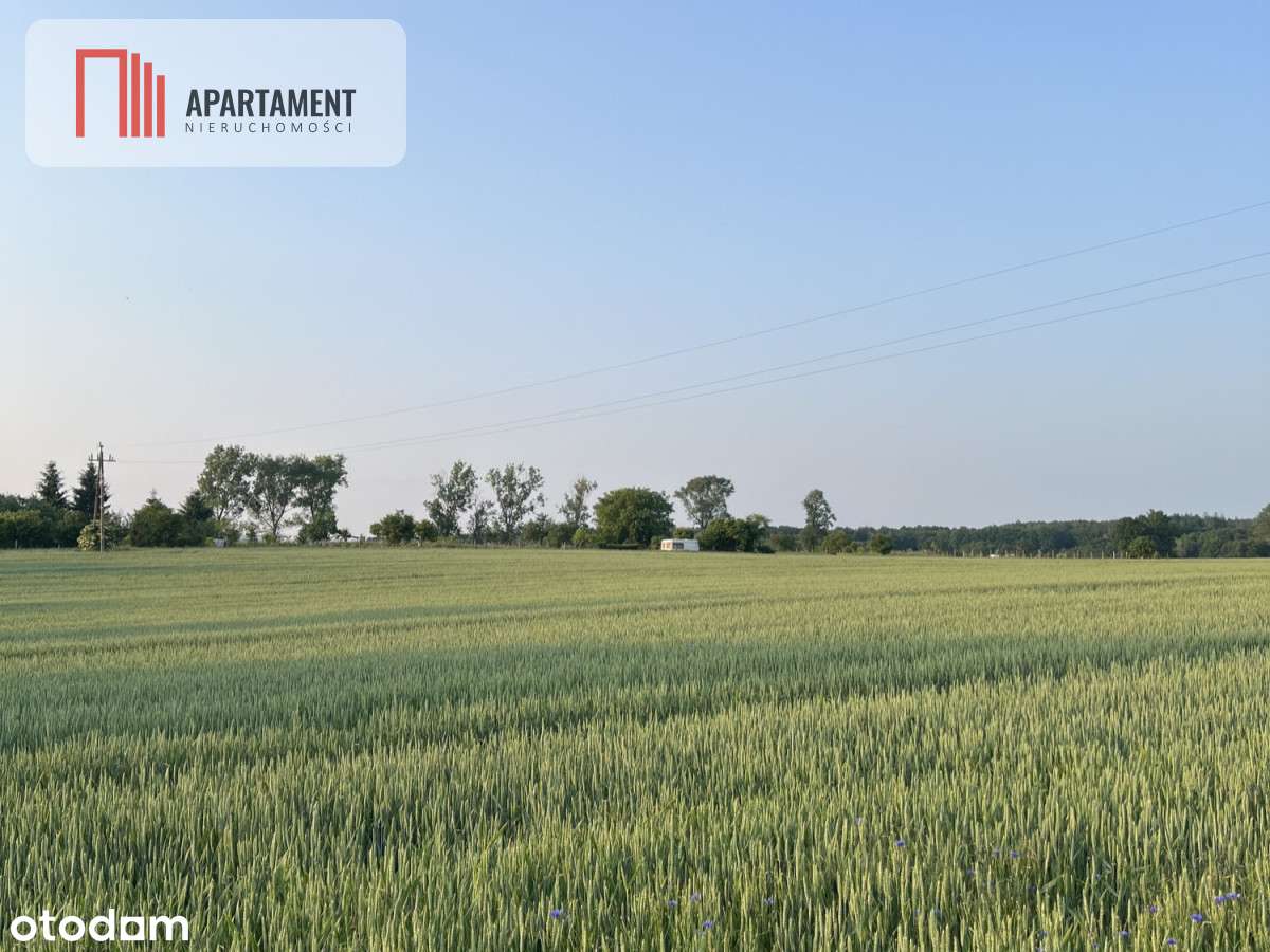 Piękne Działki Budowlane pod Bolesławcem! Kruszyn - Pełny obrazek: 5/7