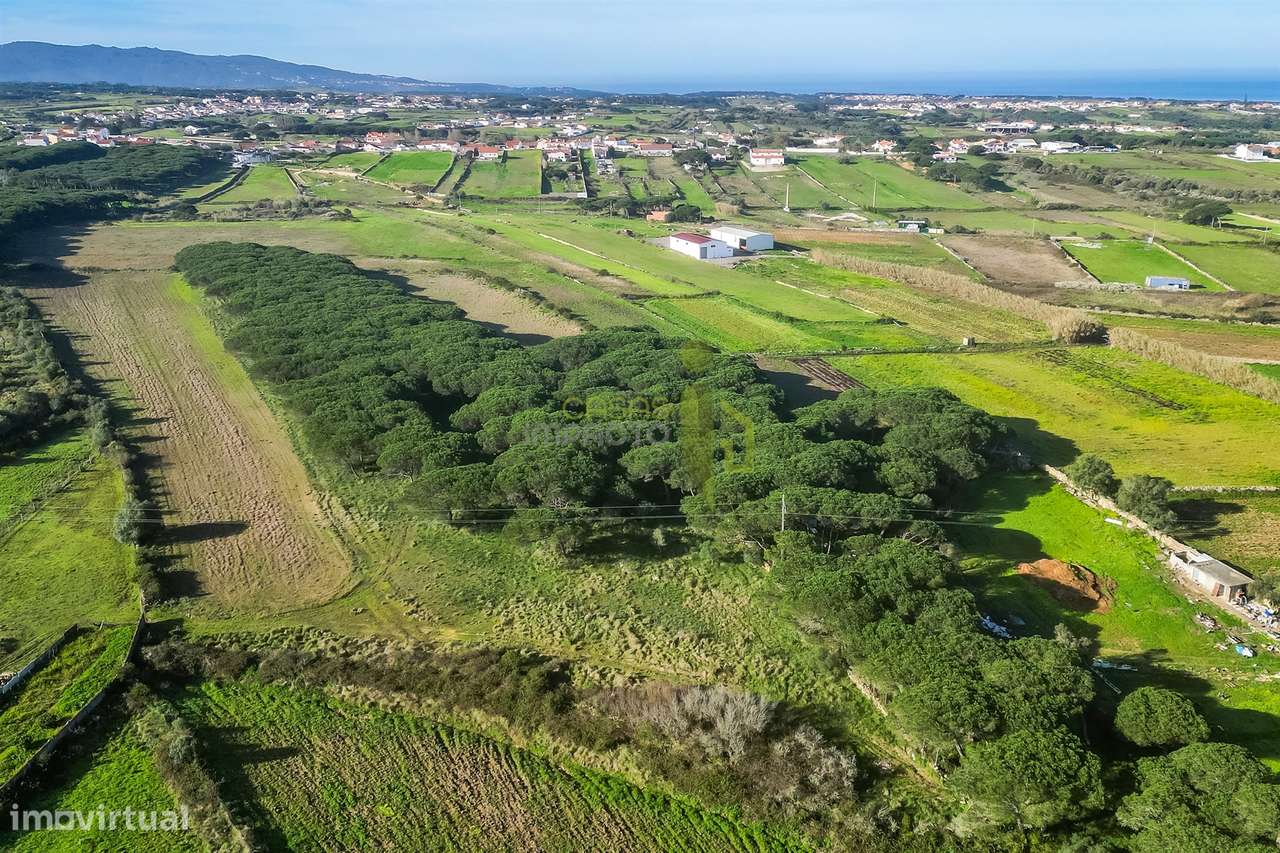 Terreno Rústico com  7.120 m² em Sintra-6