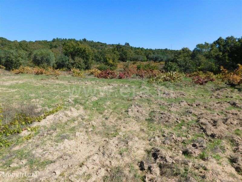 Terreno / Fundão, Pêro Viseu - Grande imagem: 4/7