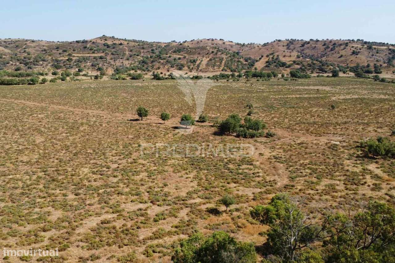 Terreno misto junto ao Guadiana, 125ha, com ruína de 1005m2 - Grande imagem: 5/31