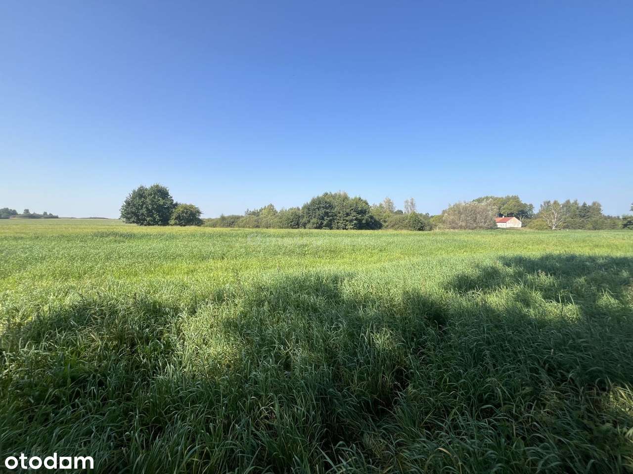 Działka budowlana jedynie 8 km od morza!!! - Pełny obrazek: 5/9