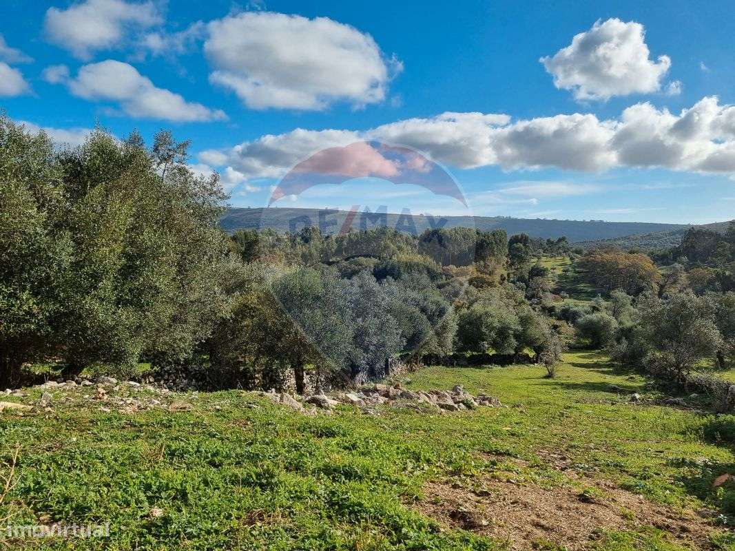 Terreno  para venda - Grande imagem: 5/8