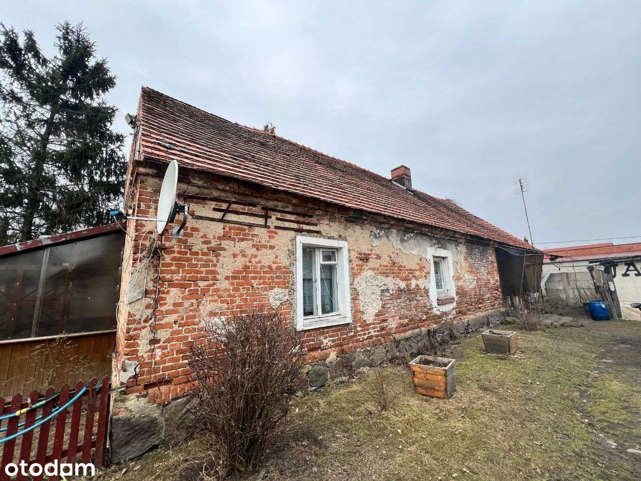 Dom do remontu ⭐Duża działka⭐Nowa Cena - Pełny obrazek: 5/12