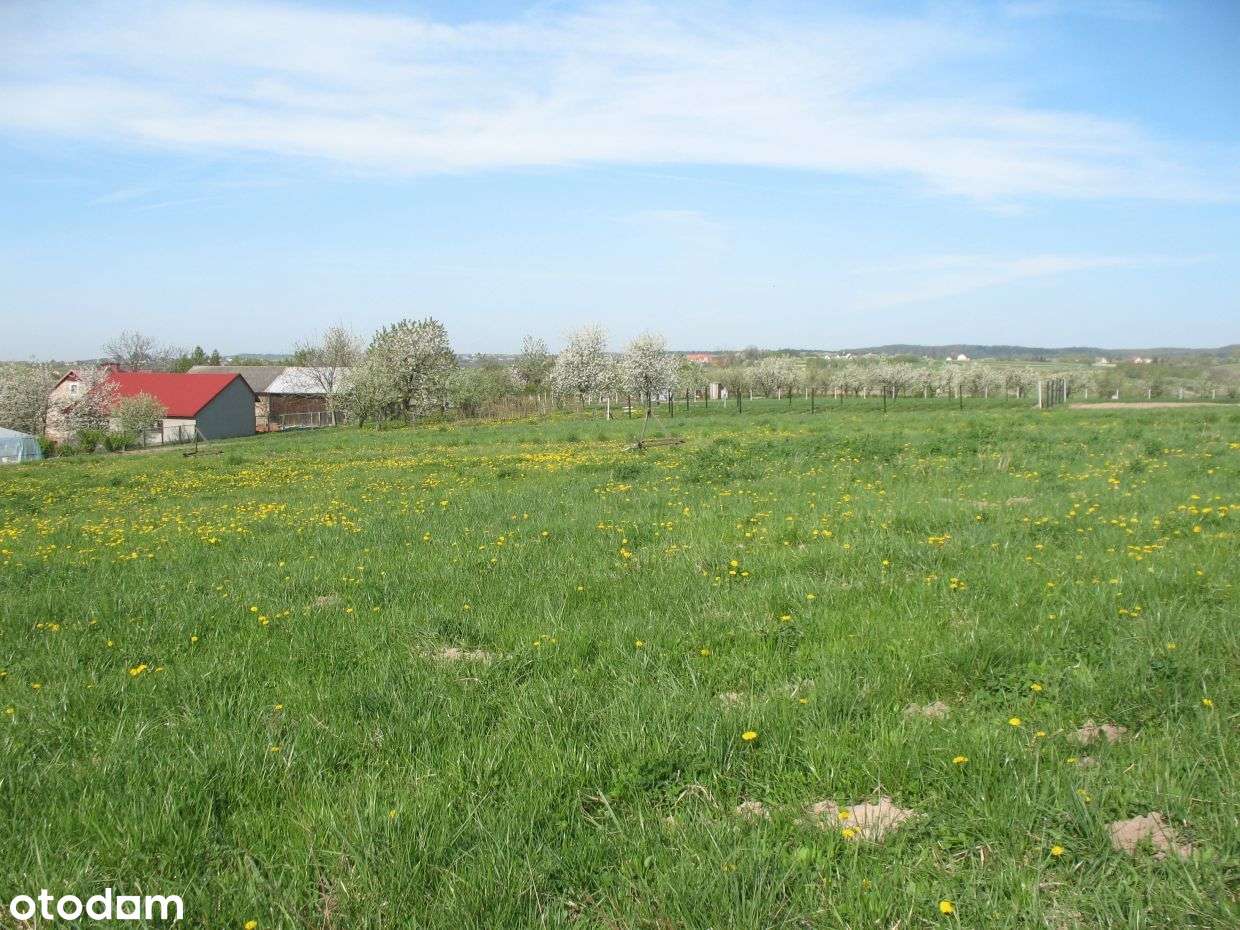 Piękna działka widokowa Niebyła-Świńczów gm Skała-2