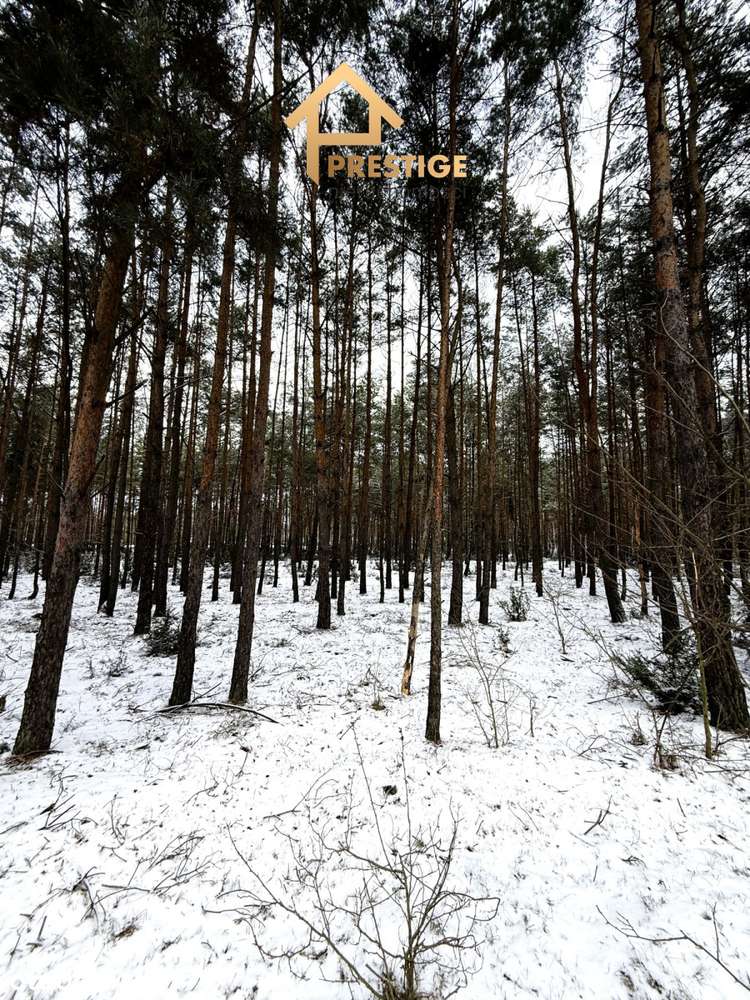 Wyjątkowa enklawa 4,94ha działka budowlana z lasem-10