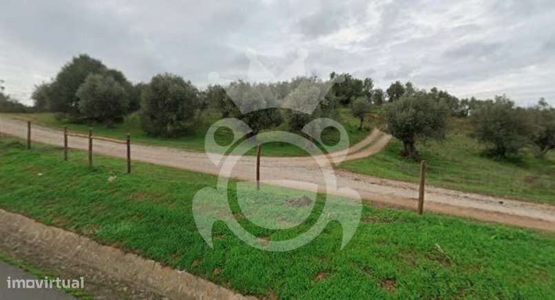 Terreno Rústico em Portel com 5.897 m² – Excelente Oportunidade!  - Grande imagem: 3/7