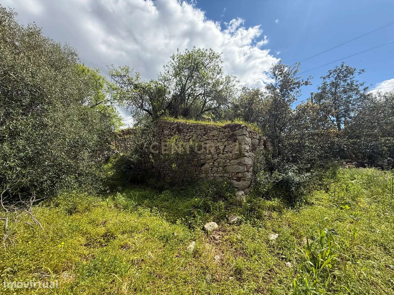 Terreno com Ruína em Mealhas, São Brás de Alportel - Grande imagem: 1/22