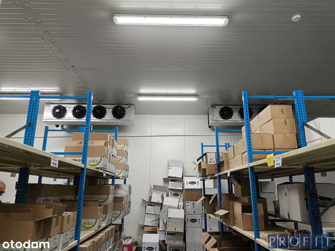 magazyn 1134 m2 , węzeł Sosnica , Gliwice - Pełny obrazek: 5/10
