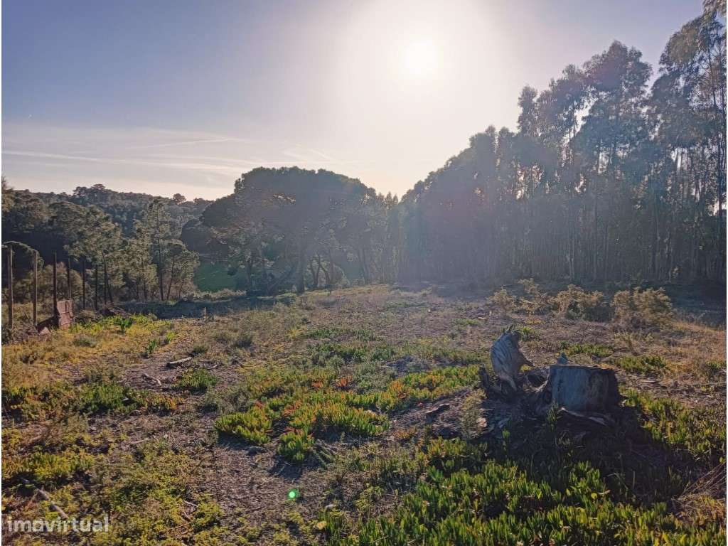 Terreno Rústico Aiana de Cima - Grande imagem: 5/25