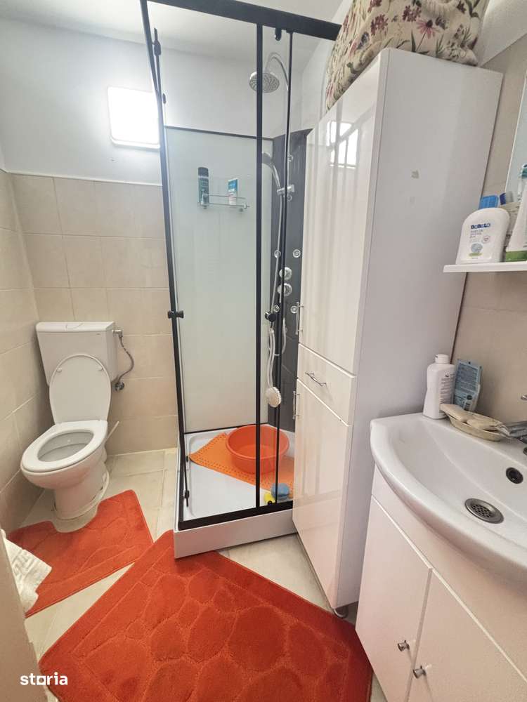 Vand casa cu teren 3900 mp Sag 280000 euro-4