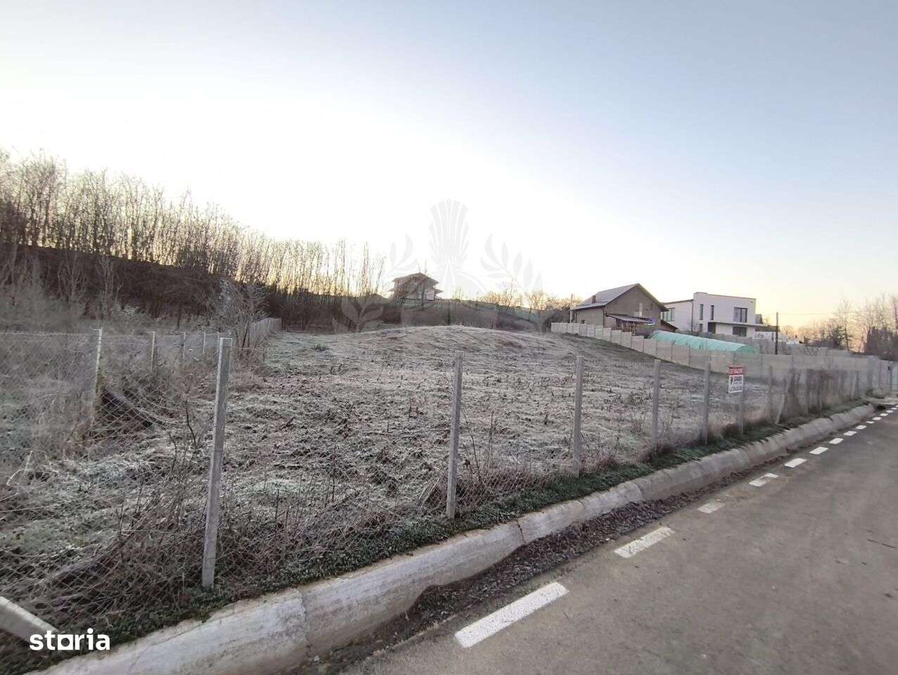 TEREN INTRAVILAN//COM. PLOPU//1300//2700 MP - Imagine principală: 2/8