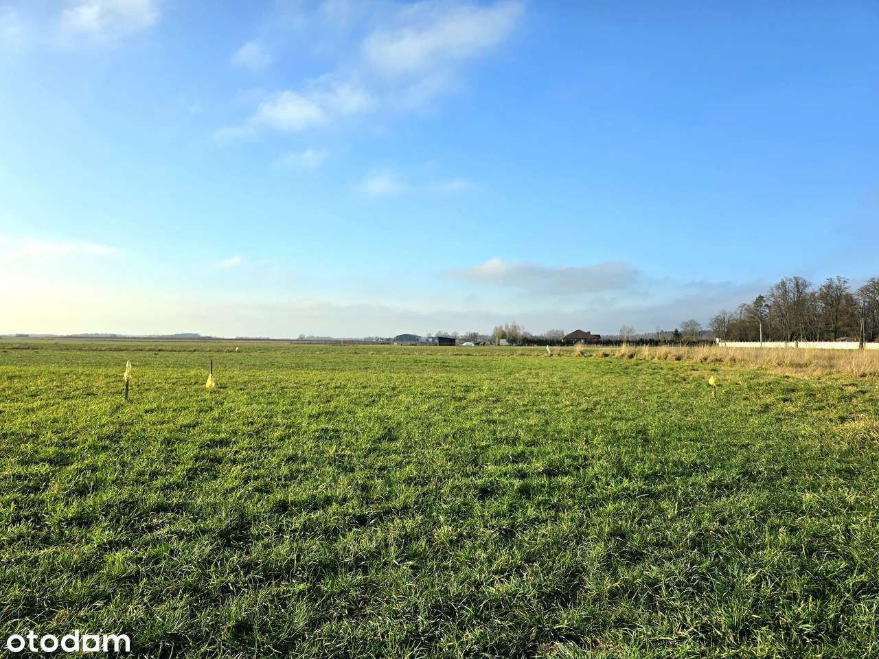 Działki budowlane 900 m2 z WZ | Trzcianna, 9 km do Skierniewic-11