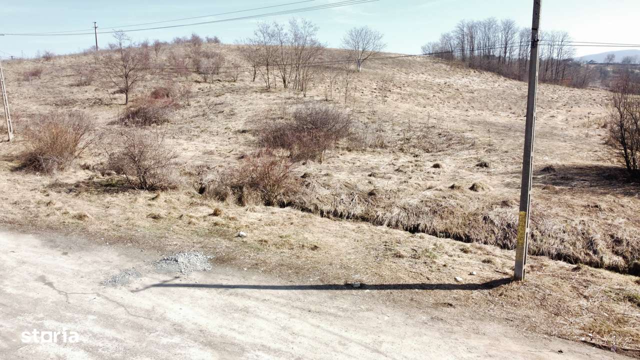 Teren 10000 mp Sanduleni-5