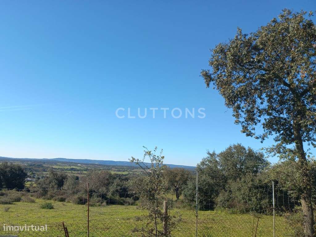 Terreno - Quinta, Investimento, 12 hectares e 844 m2 edificados, Évora-14