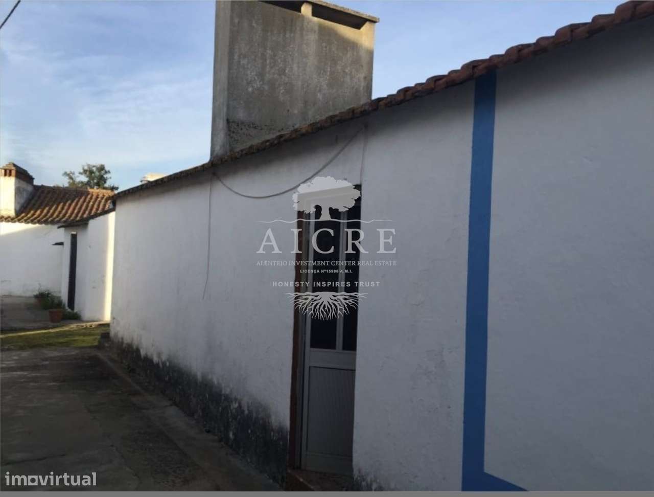 Chouto perto da Chamusca - Grande imagem: 3/22