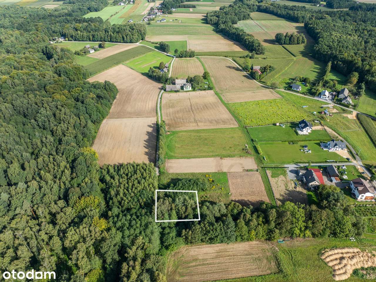 Działka budowlana z prywatnym lasem | Nidek - Pełny obrazek: 5/13