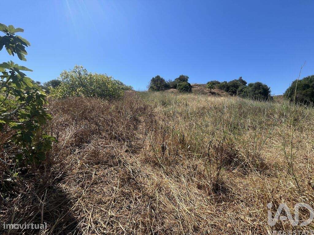 Terreno em Barão de São Miguel - Grande imagem: 4/8
