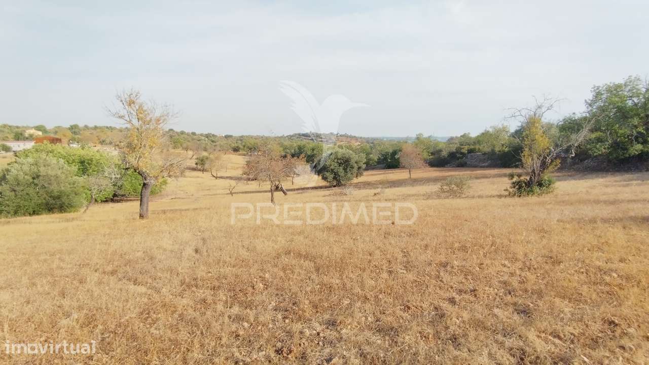 Terreno rustico vista mar Alcaria Cova Estoi - Grande imagem: 4/9