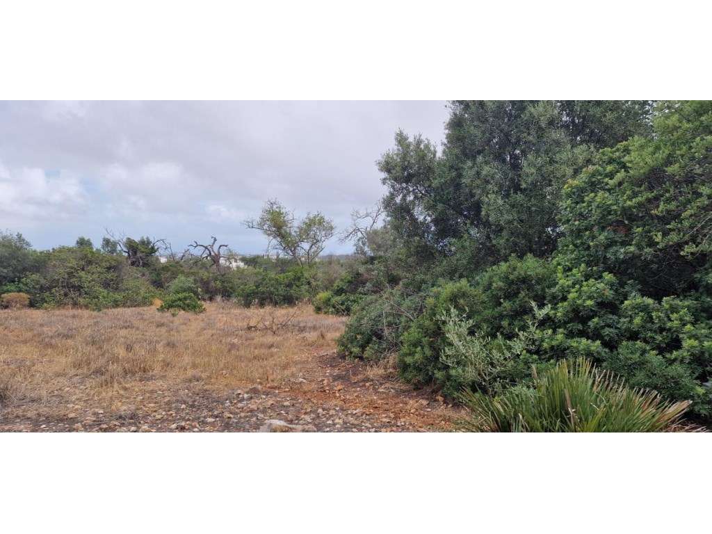 Lote de terreno junto à estrada nacional 125, na Patã de Cima, Algarve - Grande imagem: 3/9