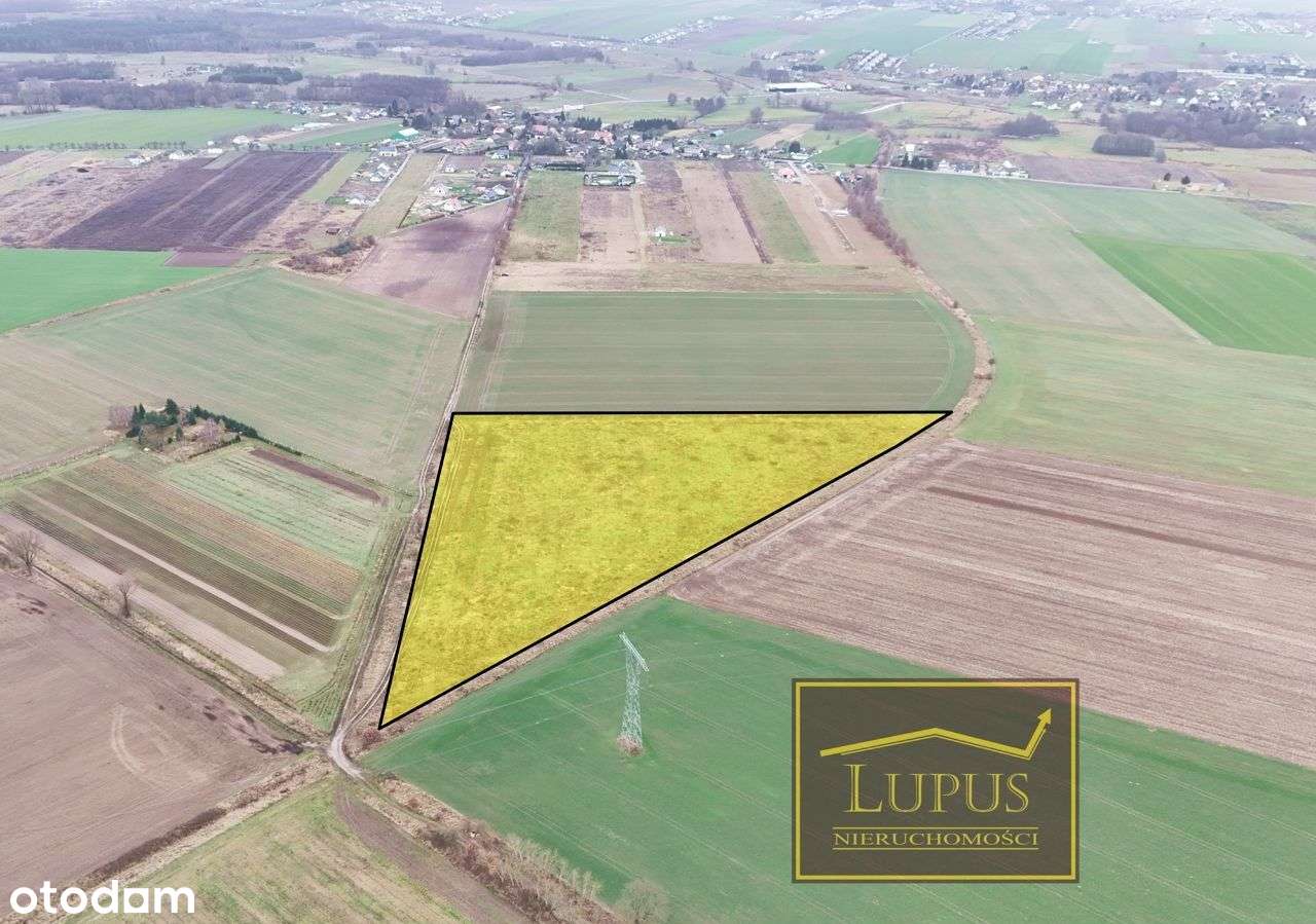 Działka rolna w Lubowie - Pełny obrazek: 1/11
