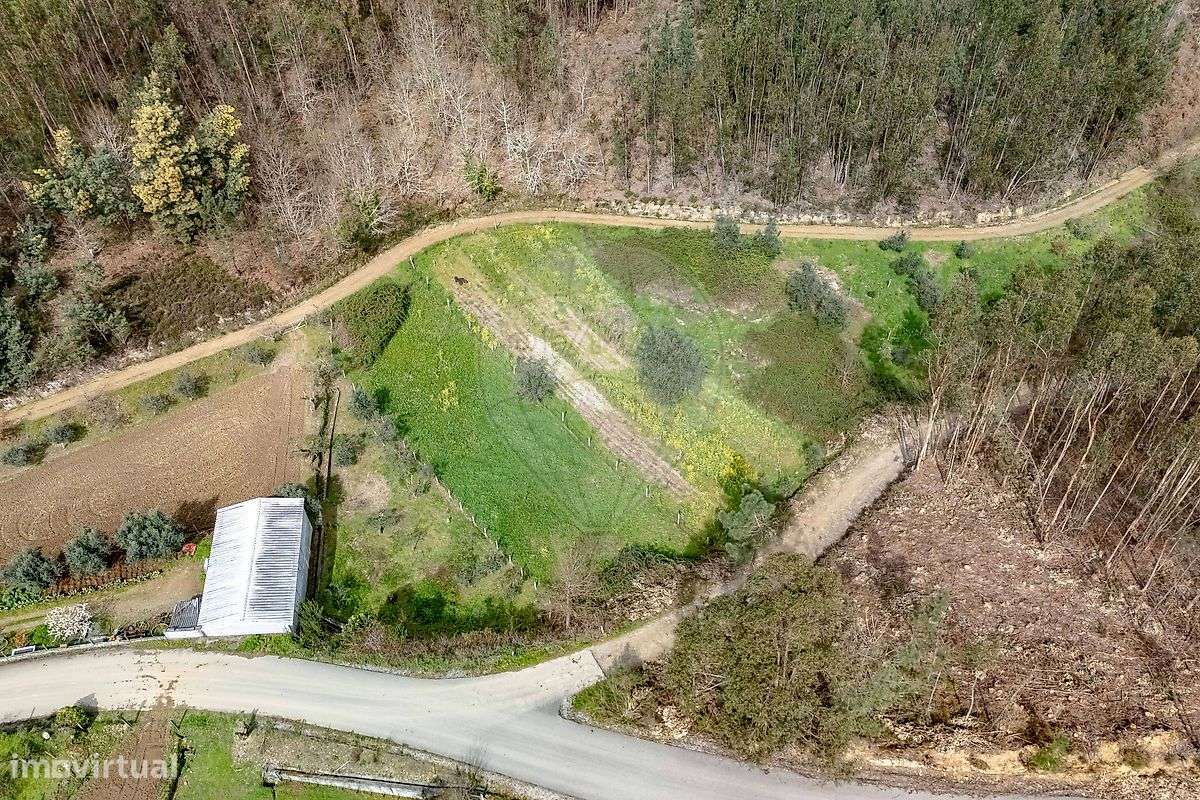 Terreno  para venda-7