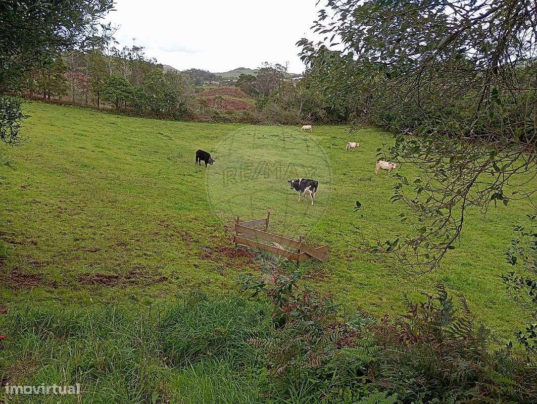 Terreno  para venda-4
